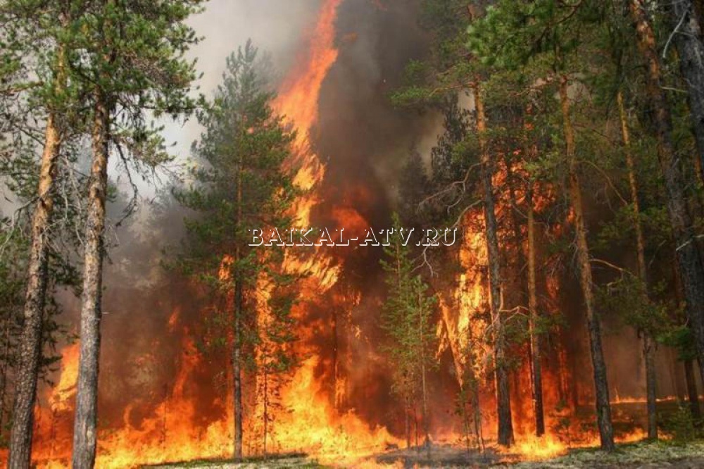 В Бурятии горит лес