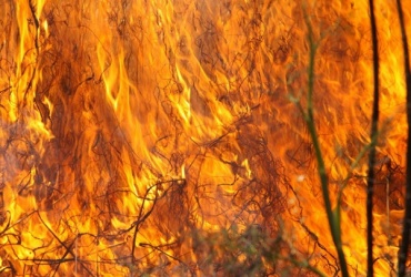 В Бичурском районе Бурятии ввели режим ЧС из-за пожара