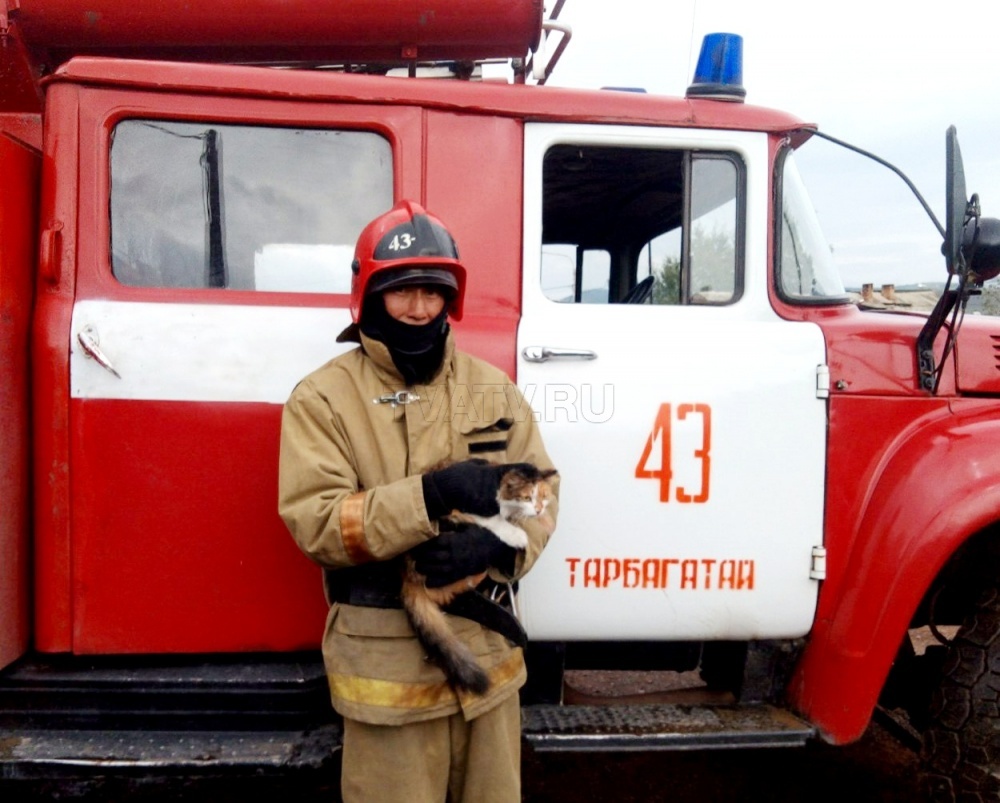 В Бурятии пожарные спасли кошку
