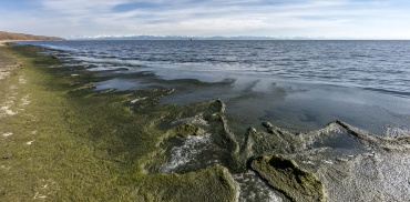 «Байкал серьёзно болен»: Ученые за три года не зафиксировали улучшений в состоянии озера