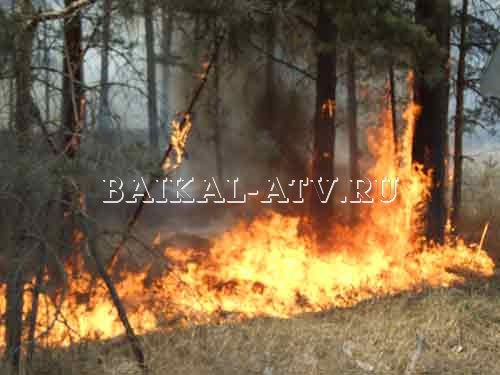 Почти 200 гектаров леса охвачено огнем в восьми районах Бурятии