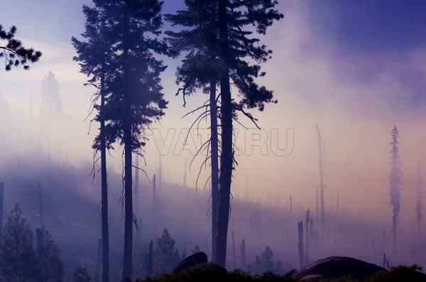 В Бурятии потушили лесные пожары в Заиграевском и Еравнинском районах