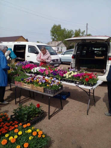 В Улан-Удэ на рынках заработала ярмарка выходного дня «Наш сад-огород» 