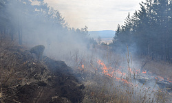 Жителей Бурятии просят сообщать о пожарах в лесу