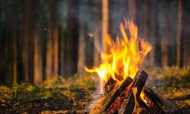 В Бурятии осудили виновника лесного пожара