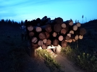 Житель Бичурского района заготовил древесину на уголовное дело