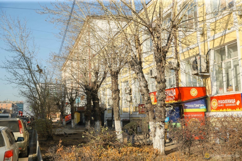 В центре Улан-Удэ сохранят тополя