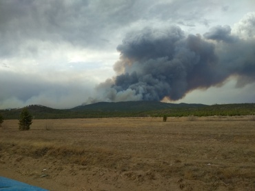 В Бурятии тушат крупный лесной пожар