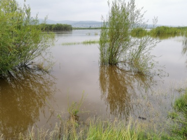 Уровень воды в Селенге опустился до 197 см