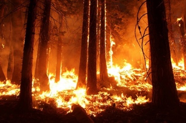 В Забайкальском нацпарке горят больше 500 га леса