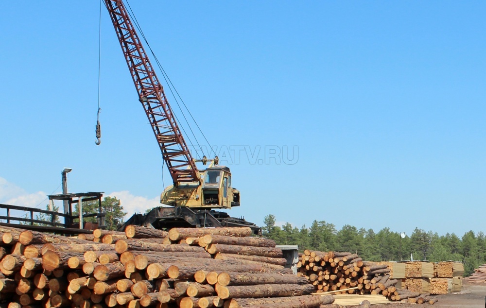 В Бурятии выявили контрабанду леса на 3 млн рублей