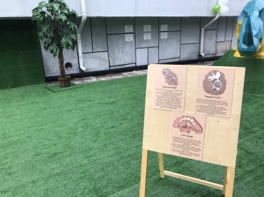 Корреспондент АТВ откопал динозавра возле музея им. Сампилова
