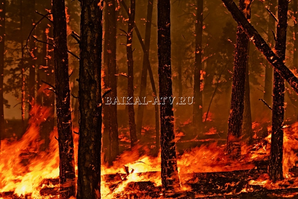 Пять жителей Бурятии понесут наказание за возникновение пожаров 