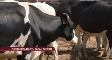 Фермеры Бурятии получат больше 120 миллионов рублей