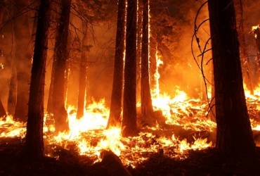 В Бурятии тушат лесной пожар в Иволгинском районе