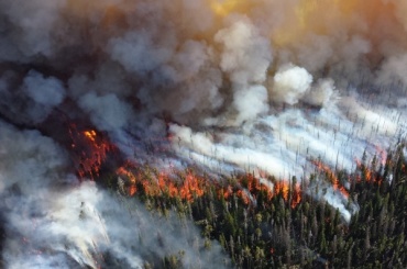 В Бурятии тушили 7 лесных пожаров