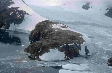 Ученые: Вулканы Бурятии уничтожили последние леса Антарктиды