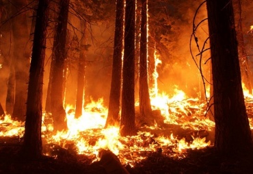 В Бурятии тушат лесной пожар в Прибайкальском районе