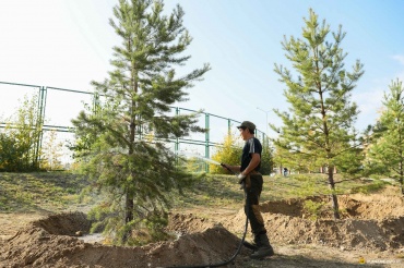 В Улан-Удэ посадят декоративные деревья