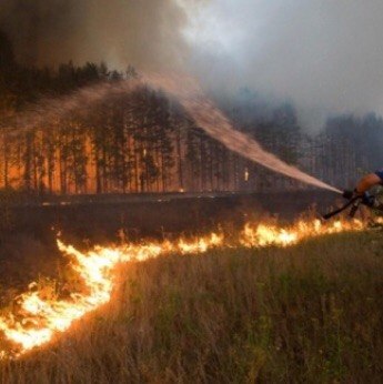На пожаре в Курумканском районе Бурятии погибли лесники