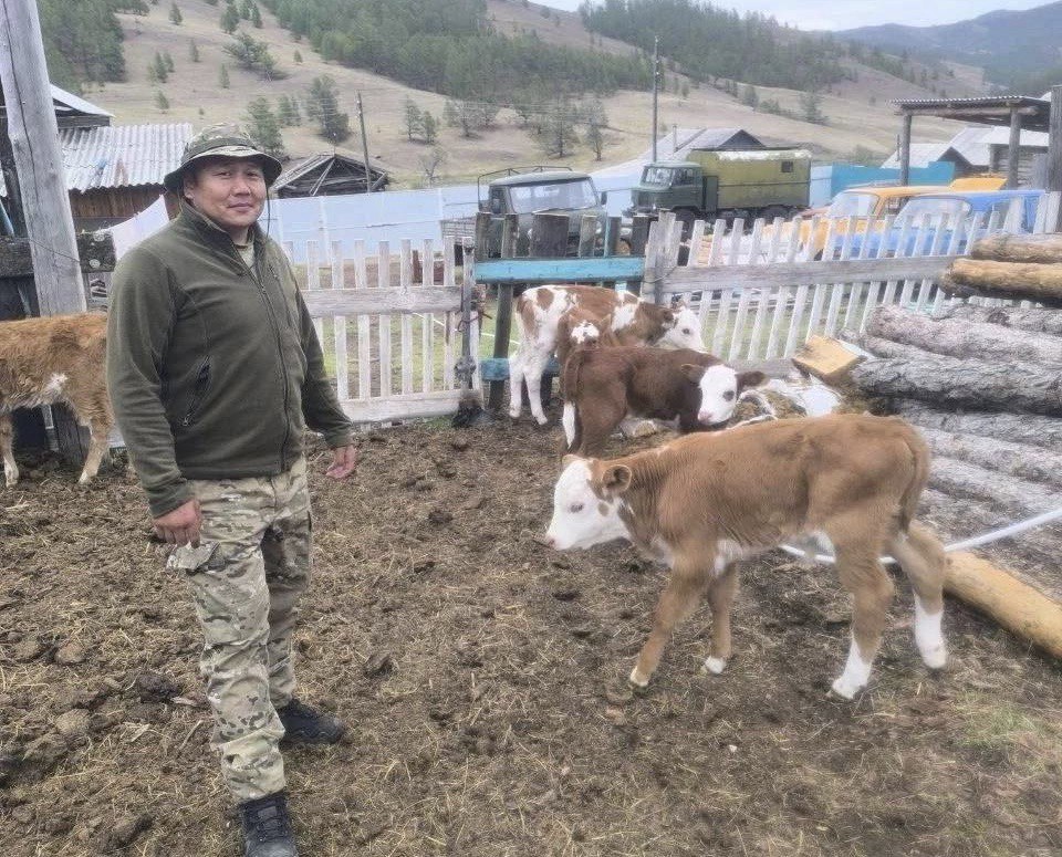 Ветеран СВО развивает семейное фермерство в Бурятии Ветеран СВО развивает семейное фермерство в Бурятии