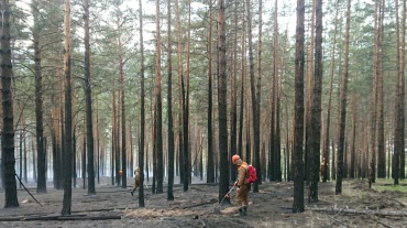 В пригороде Улан-Удэ лесники тушат лесной пожар
