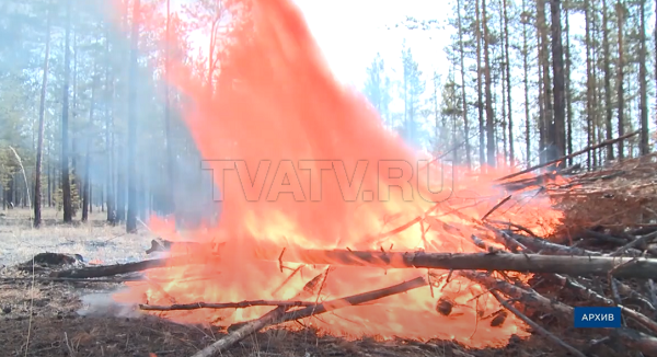«Огненный» сезон в Бурятии. В республике зафиксировали 85 пожаров из-за сухой травы