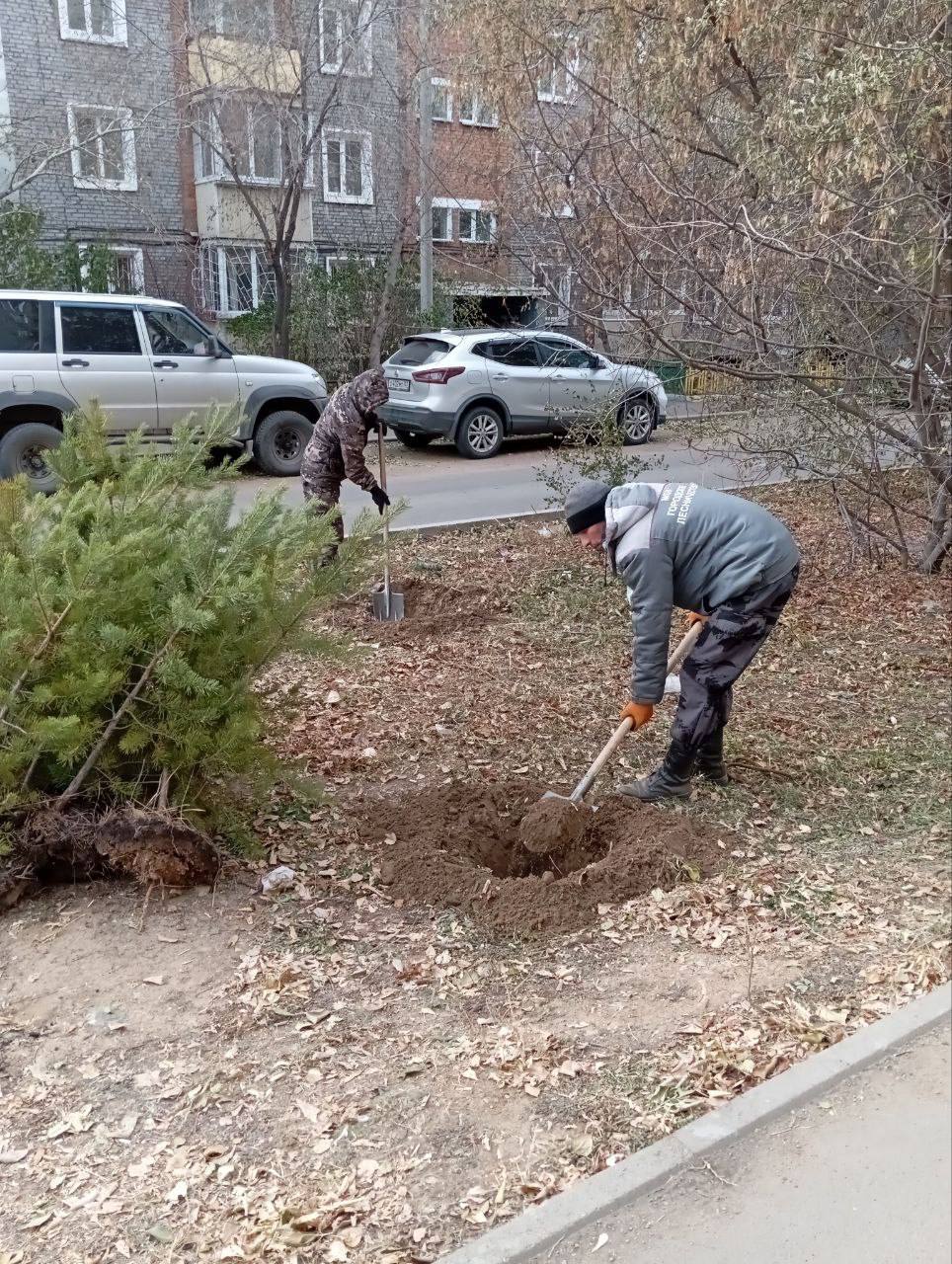 В Улан-Удэ завершились осенние посадки В Улан-Удэ завершились осенние посадки