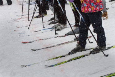 Восемь пунктов проката лыж работает в Улан-Удэ