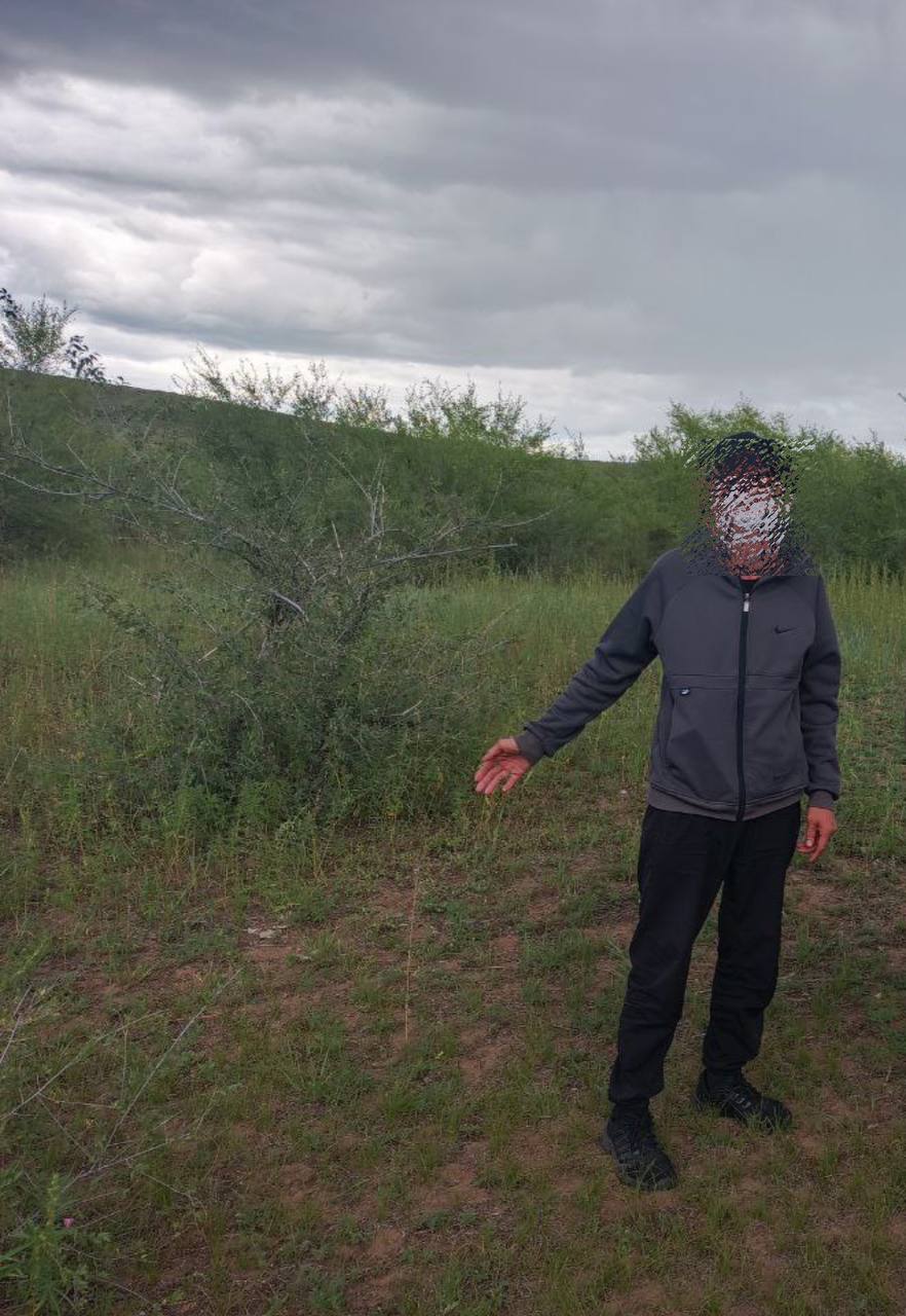 Уланудэнец приехал в Кяхту для сбора конопли. Там его поймали полицейские Уланудэнец приехал в Кяхту для сбора конопли. Там его поймали полицейские