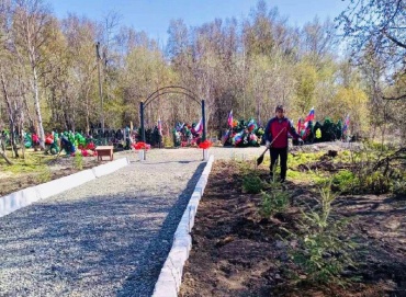 Лесники посадили «Аллею Славы» в честь бойцов, погибших на СВО
