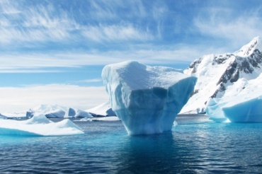 Во льдах Антарктиды нашли загадочных существ