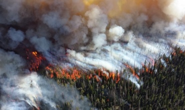 В Бурятии горят 10 га леса