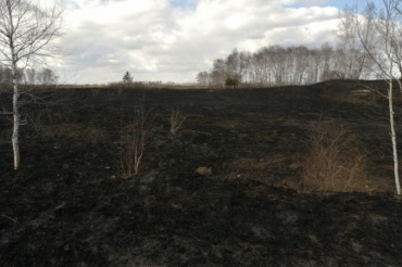 Житель Иркутской области психанул и спалил около 20-ти га леса