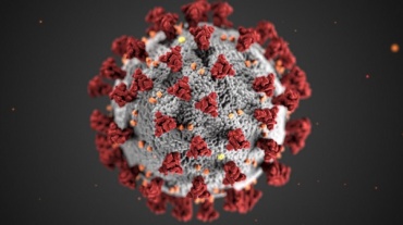 В Бурятии коронавирус подтвердили еще у 39 человек