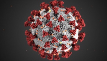 В Бурятии за сутки 19 человек заразились коронавирусом