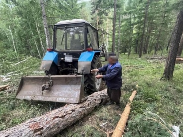 В Бурятии на 53-летнего мужчину упало сухое дерево 