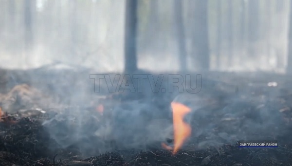 Успели вовремя. Лесники остановили пожар в Заиграевском районе