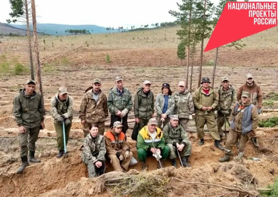 Лесники Заиграевского района Бурятии высадили молодые деревья в честь павших героев Лесники Заиграевского района Бурятии высадили молодые деревья в честь павших героев