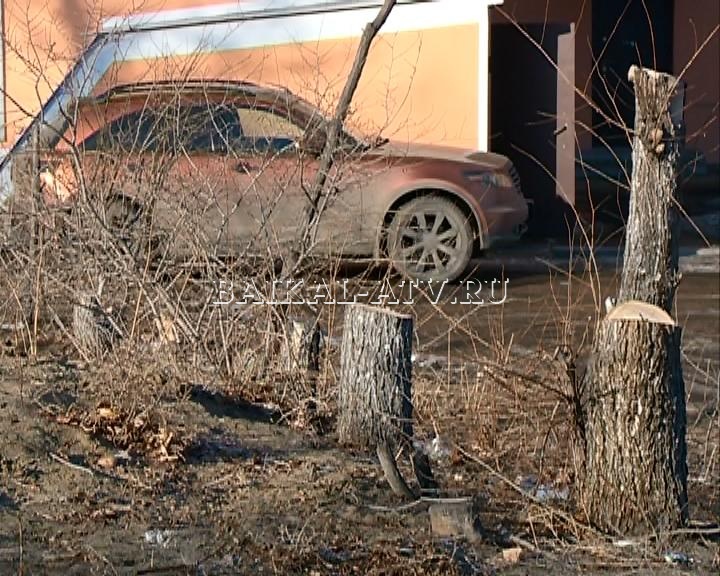 В центре  Улан-Удэ срубили более 30 деревьев