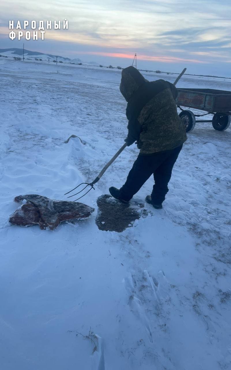 Земли у Баянгола в Бурятии очистили от шкур Земли у Баянгола в Бурятии очистили от шкур