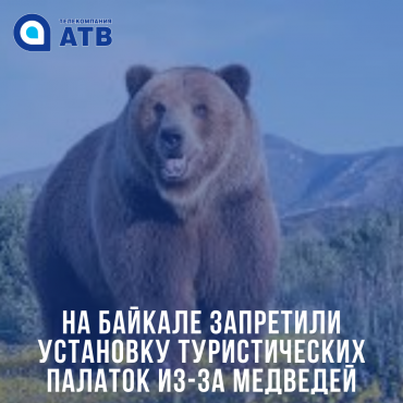 На Байкале запретили установку туристических палаток из-за медведей