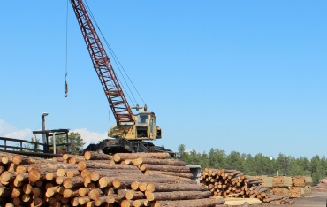 В Бурятии выявили контрабанду леса на 3 млн рублей