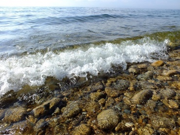 В водах Байкала выявлено многократное превышение уровня фекального загрязнения