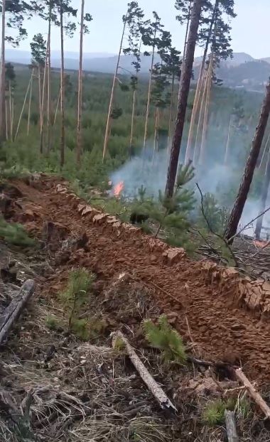 В Бурятии тушат два лесных пожара В Бурятии тушат два лесных пожара