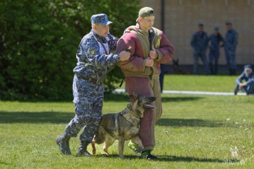 В Бурятии служебные собаки ищут взрывчатку, оружие и опасных преступников 