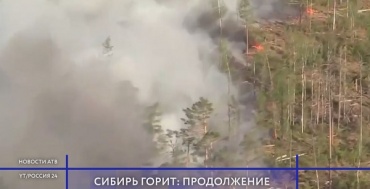 Площадь горящих лесов в Сибири увеличилась