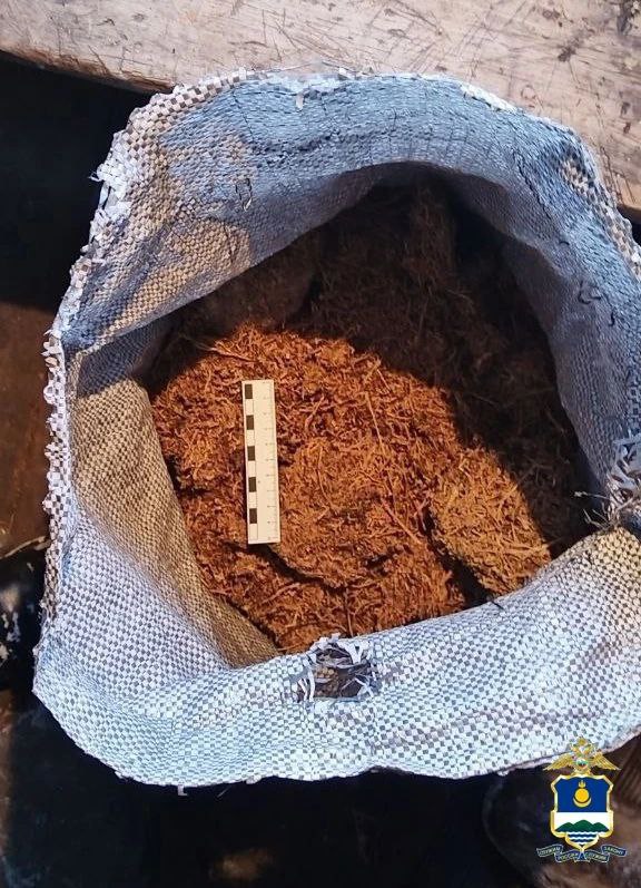 Житель Бурятии заготовил для себя наркотик, а полицейские нашли Житель Бурятии заготовил для себя наркотик, а полицейские нашли