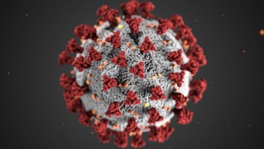 В Бурятии еще 30 человек заразились коронавирусом 