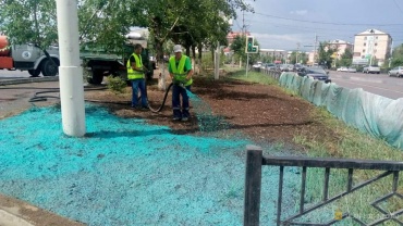 В Улан-Удэ стартовала посадка газонов методом гидропосева